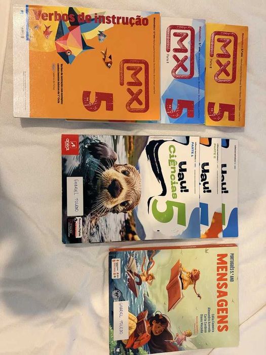 Conjunto de manuais didaticos 5. ano