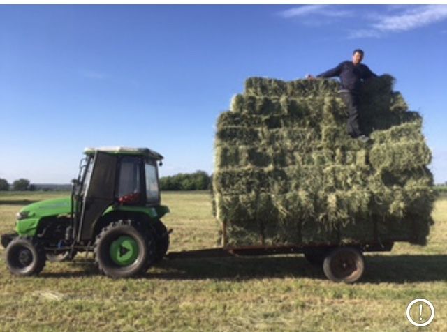 Продам тюки сіна!