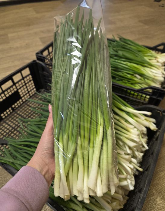 Зелена цибуля, перо.