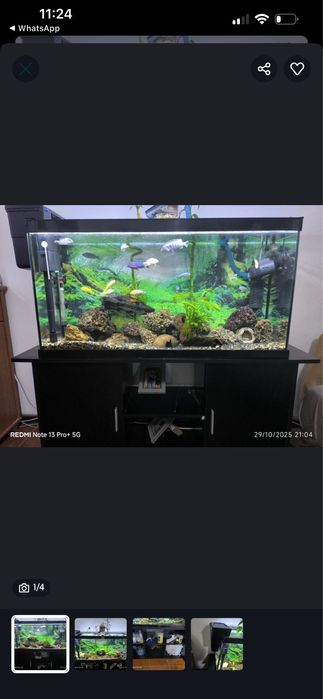 Aquario com movel