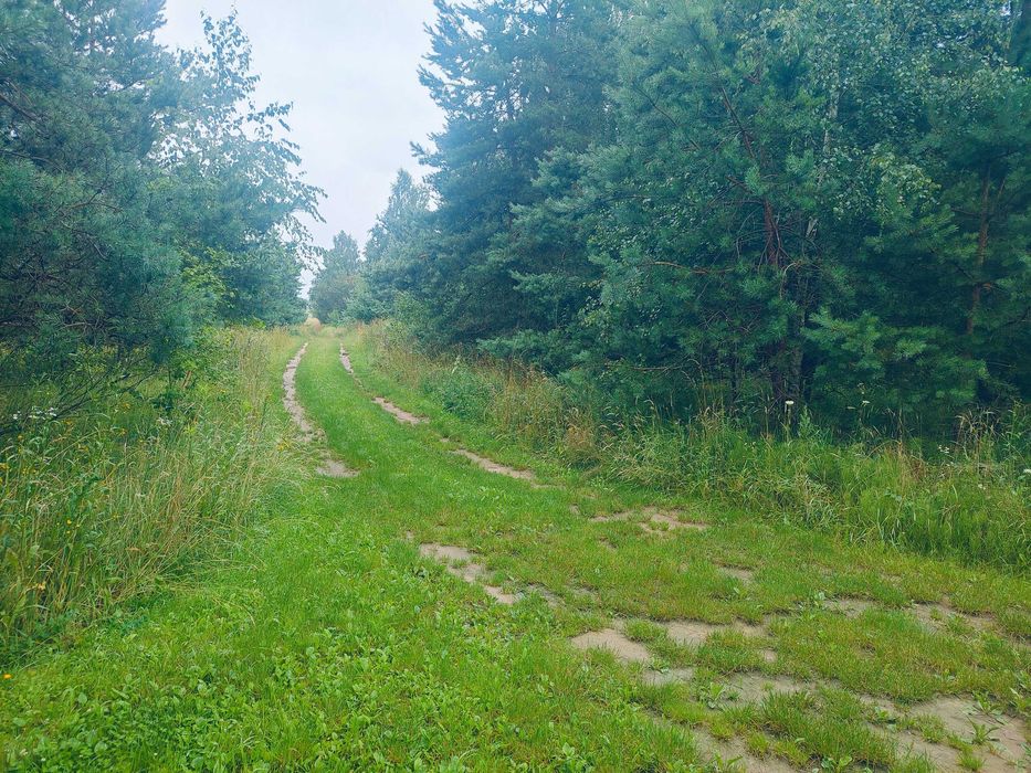 Sprzedam Działkę na Mazurach