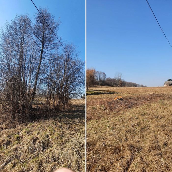 Usługi ogrodnicze, koszenie, zakładanie trawników, przycinanie tuj