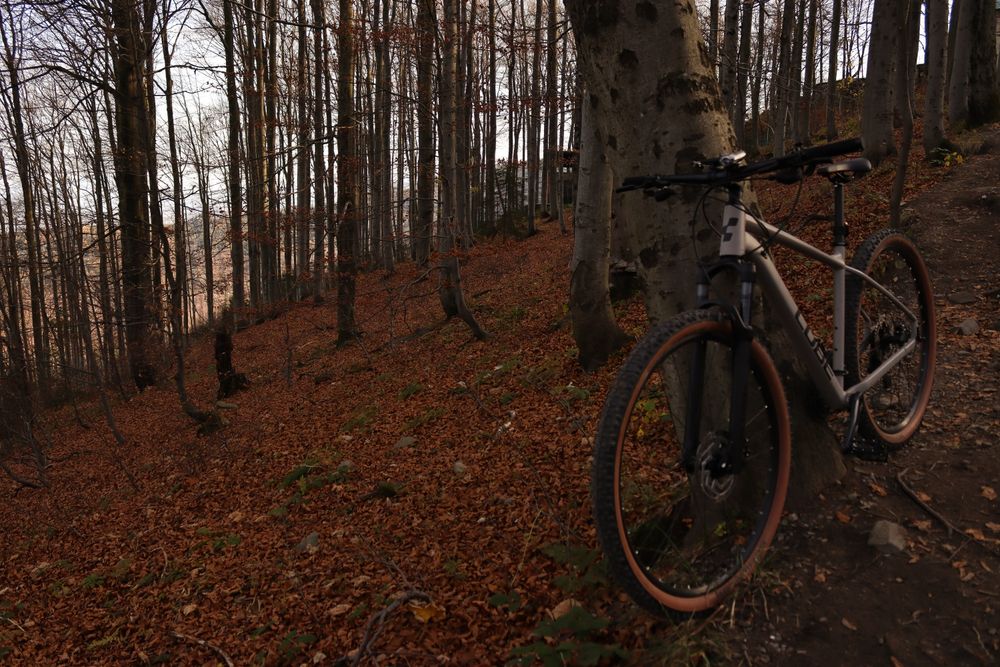 Rower Cube Access Race L Deore/SLX