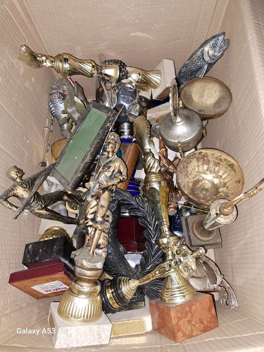 Troféus vários desportos