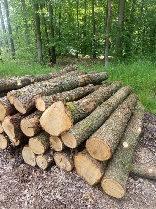 Drewno opałowe kominkowe