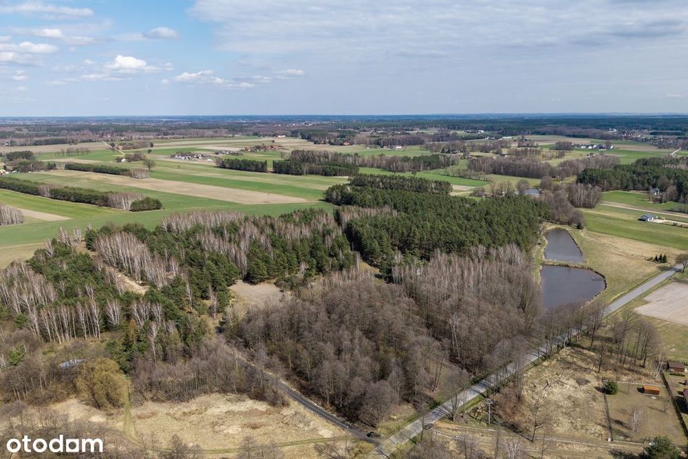 Działki rekreacyjne i mieszkaniowe blisko Łodzi - Widok 3