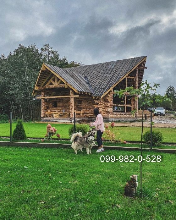 Витривалий газон ВДАЧА для дачі насіння Універсальної газонної трави