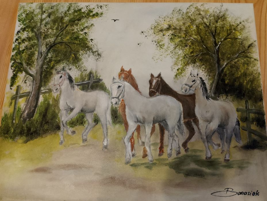 Słodkie koniki obraz 50/40 cm
