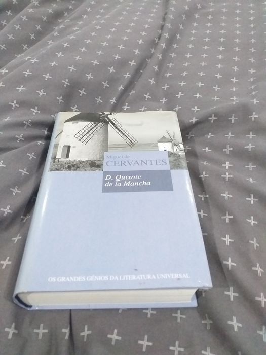 D. Quixote de la Mancha