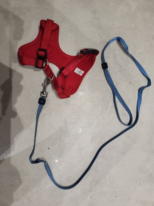 Szelki dla psa i smycz