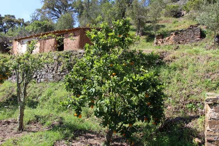 Quinta,3ruinas,Agua,hortas,Paz e privacidade