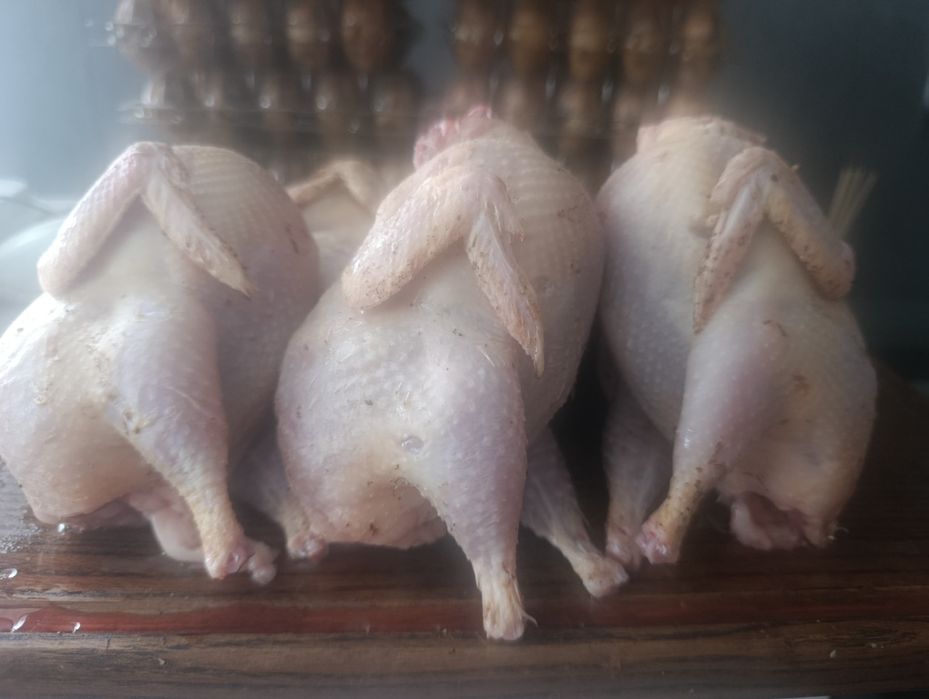 Продам мясо перепелов