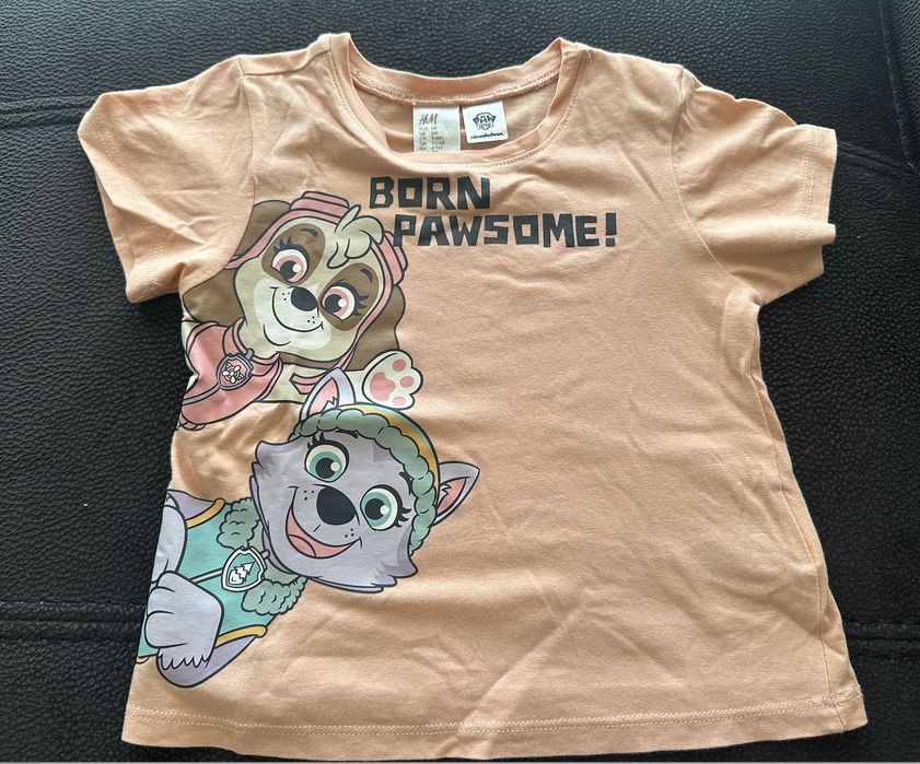 Conjunto Patrulha Pata 6-9M