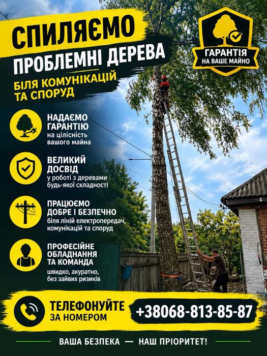 Спилюємо проблемні дерева ! Чагарники !