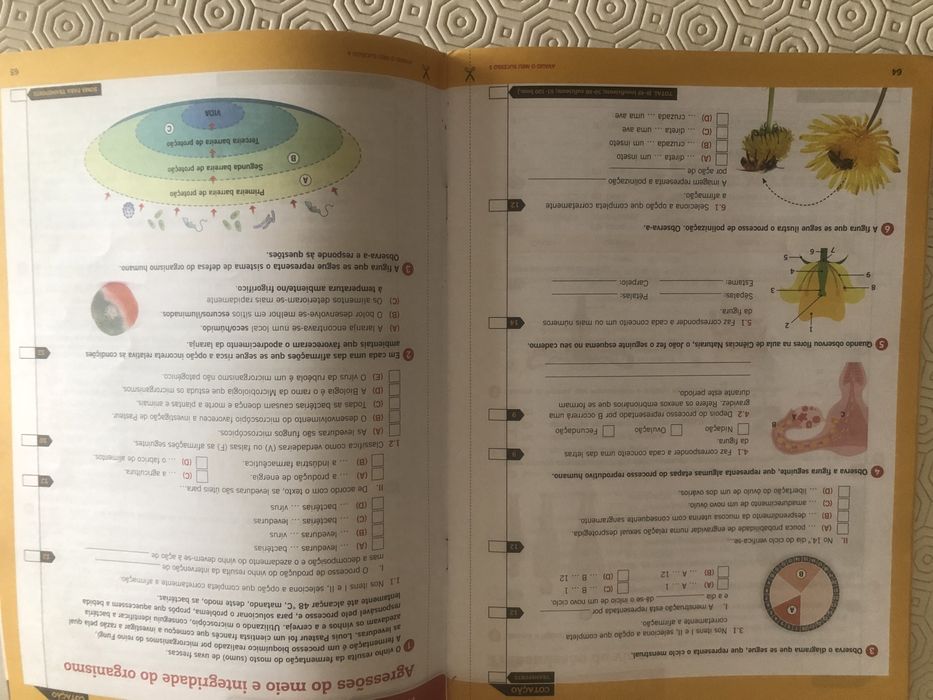 Terra Viva - 6 Ano - Caderno de Atividades