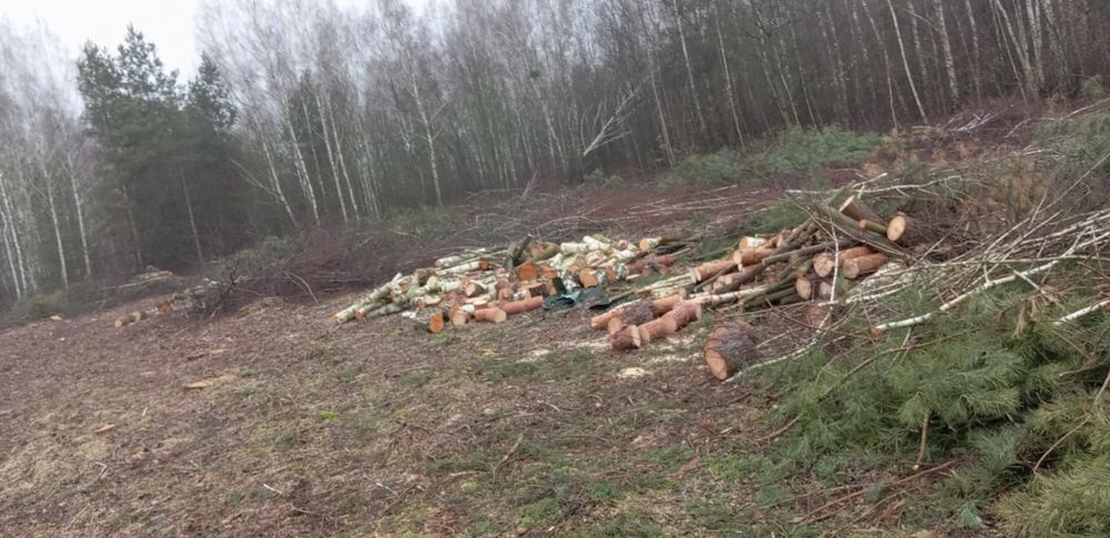 Cięcie drewna opałowego Wycinka drzew karczowania działek, koszenie
