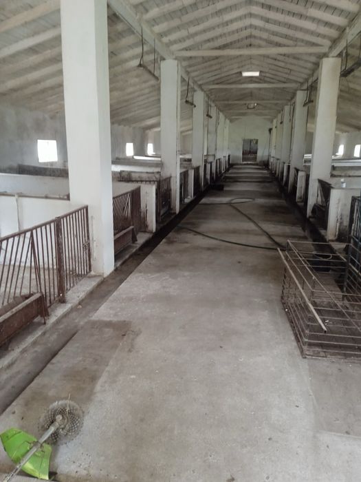 Ферма, готовий бізнес