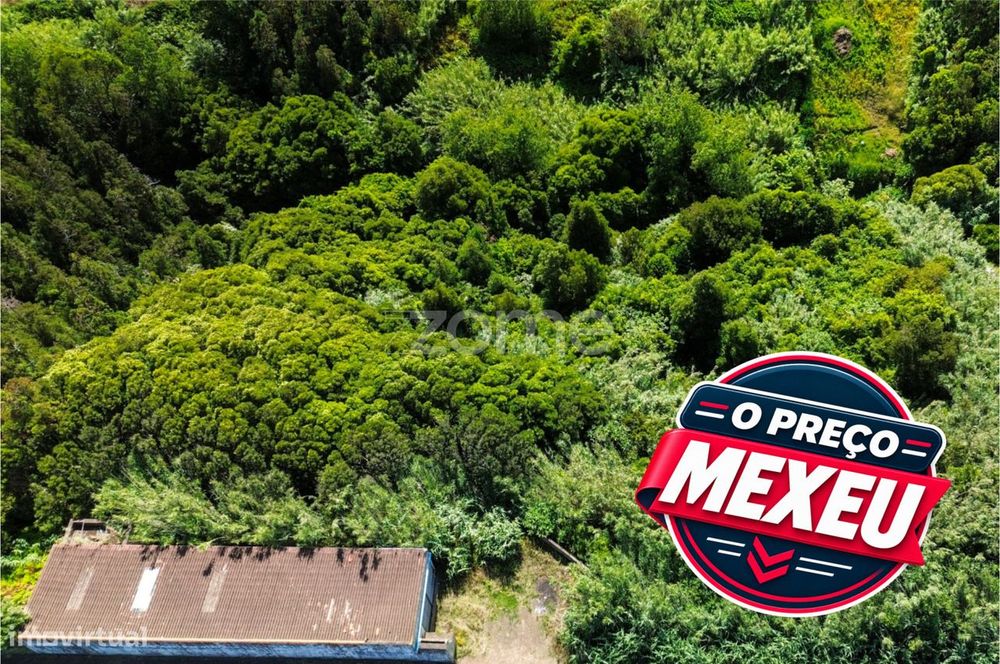 Terreno Rústico, 1/2 de 10.380 m² – Lomba de São Pedro