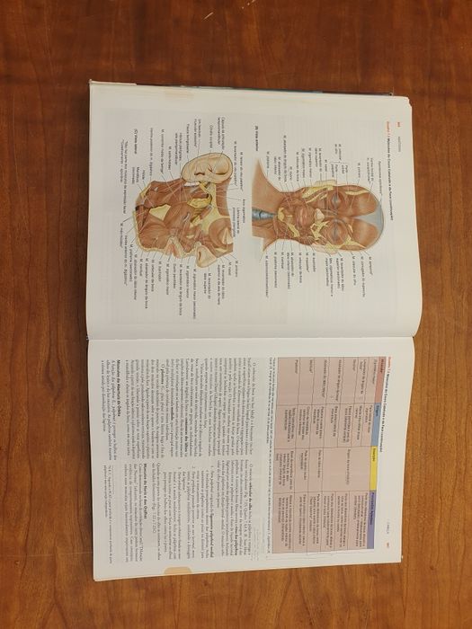 Anatomia Orientada para Clinica - 5 edição