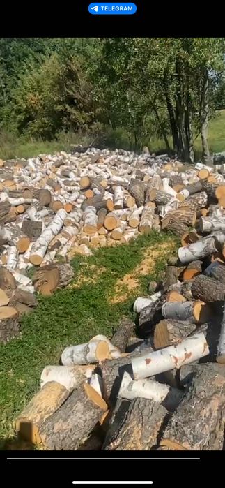 Продам дрова Рубані, Метрові (дуб, акація, береза)