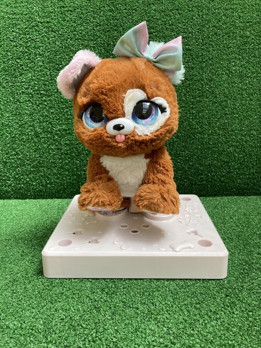 Presente pets - cachorrinho surpresa