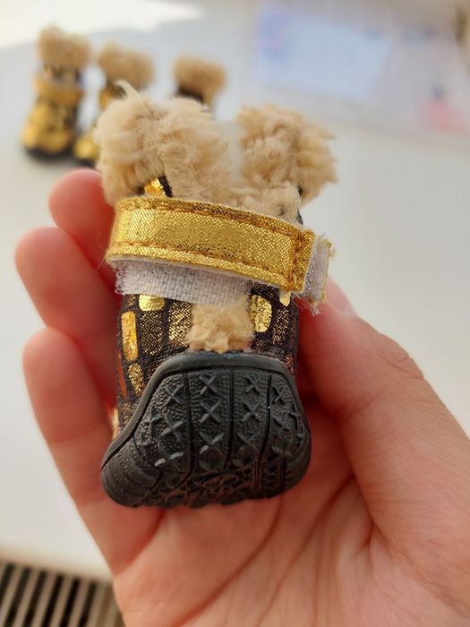 Взуття для цуценяти + шкарпетки в комплект