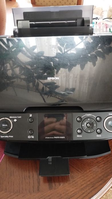 МФУ (принтер, сканер) Epson Stylus Photo RX615 з СБПЧ