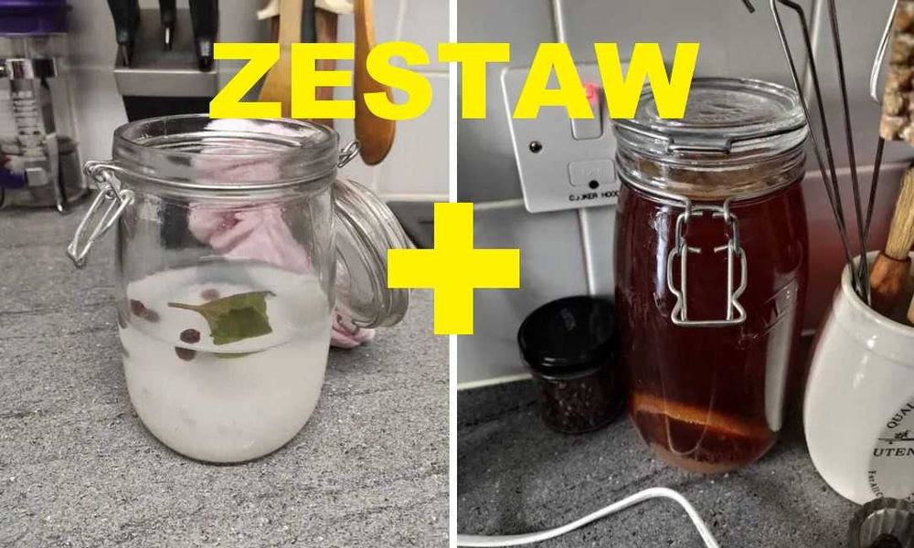 ZESTAW kryształki japońskie + kombucha na detoks odchudzanie odporność