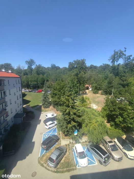 Zdjęcie 7