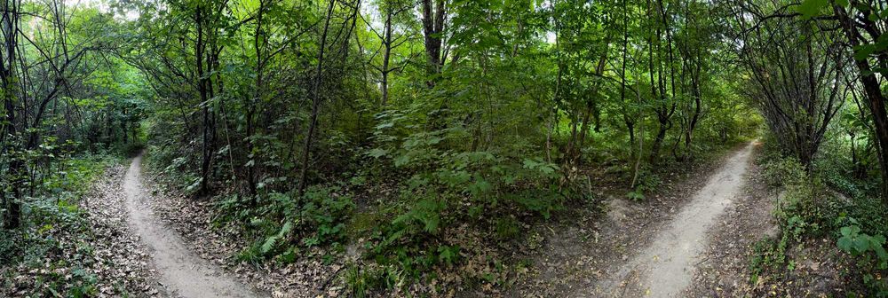 Продаж землі комерційного призначення, Львів, вул. Ланова