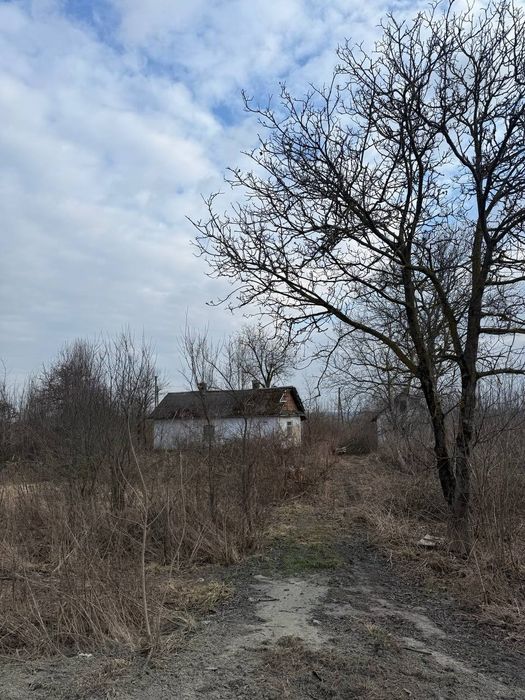 Земельна ділянка зі старим будинком|с.Дубрівка|Рівненська обл