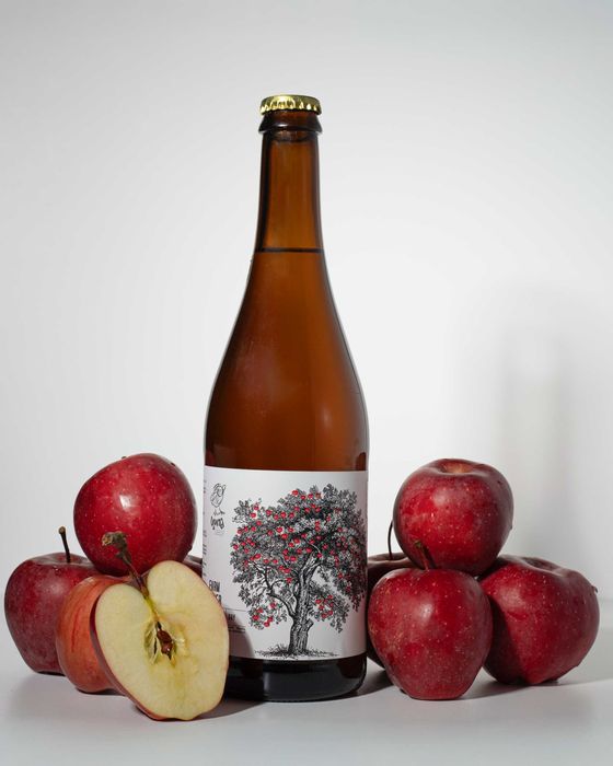 Фотозйомка товарів для Instagram та каталогу