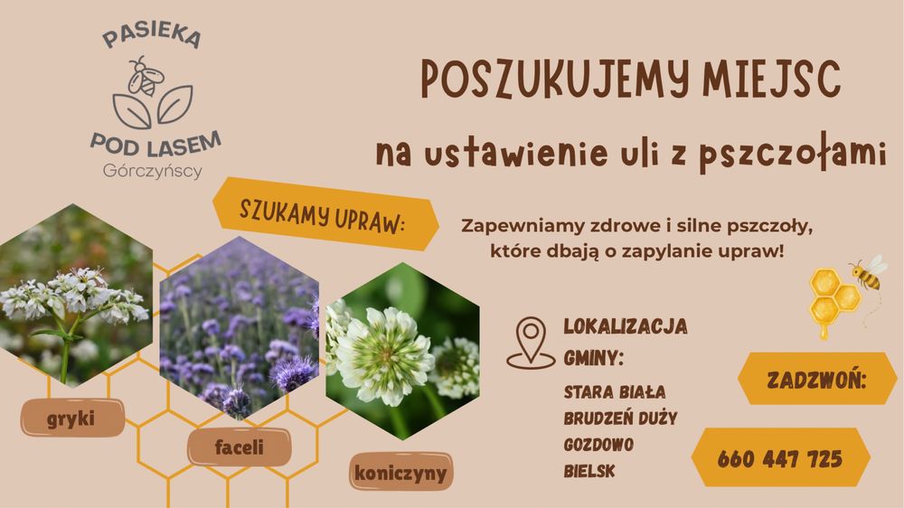 Poszukujemy pożytków miejsc na postawienie uli