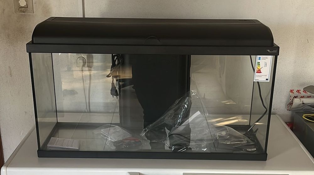 Aquário completo de água quente tudo incluído com peixes