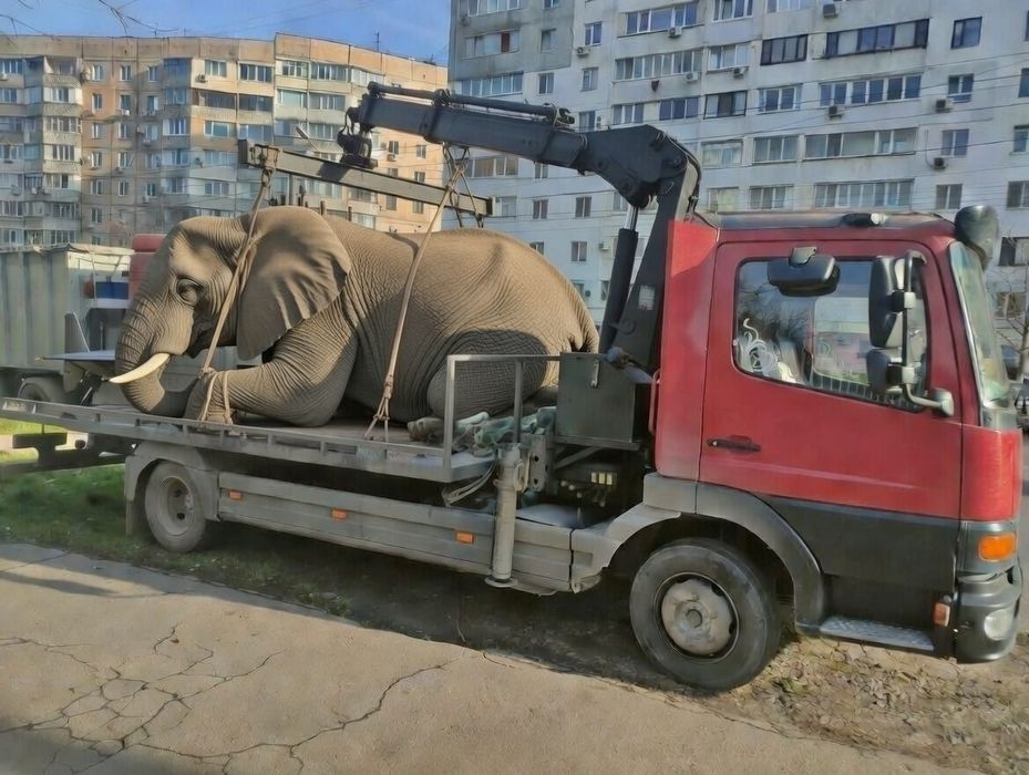 манипулятор эвакуатор