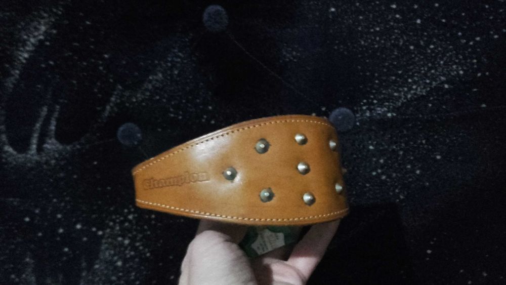 Obroża skórzana dla charta