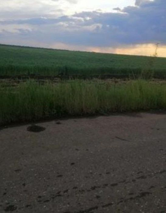 продам 100га земли в овидеопольском раене  от хозяина Большая Долина