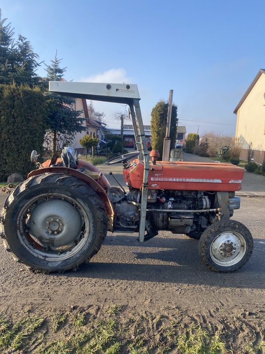 MASSEY FERGUSON MF 135v sadowniczy wąski od 100cm, mf 152,135,148,ford
