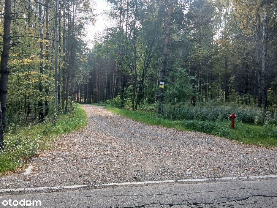 Działka budowlana w lesie (media), blisko PKP, S17, Garwolin, MPZP - Widok 4