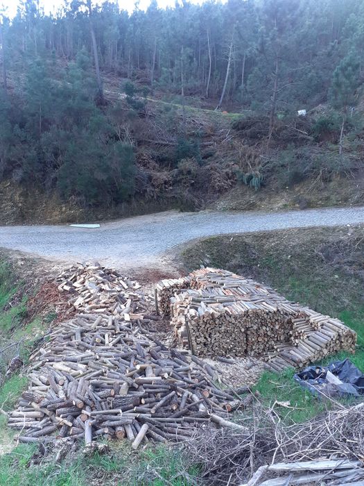 Lenha de pinho e eucalipto. Limpezas de terrenos.