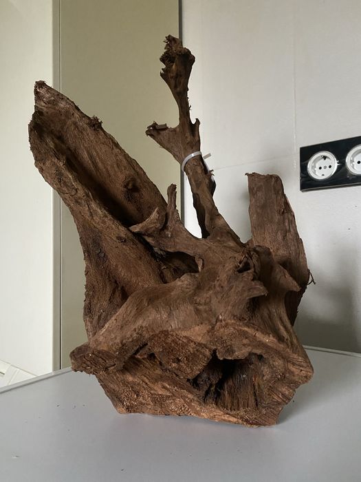 Корень коряга корч пень дерево Мангр с Малайзии