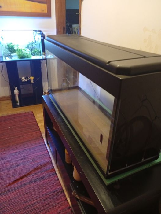 Vendo  aquários e filtro