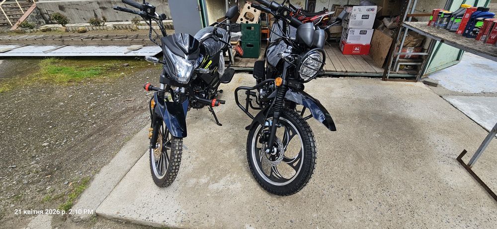 Mustang Dingo 125см3 2026рік