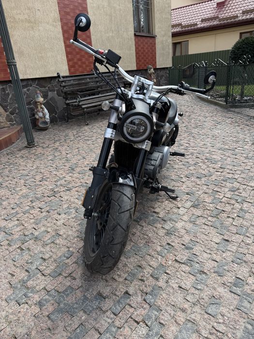 Benda Chinchilla V300