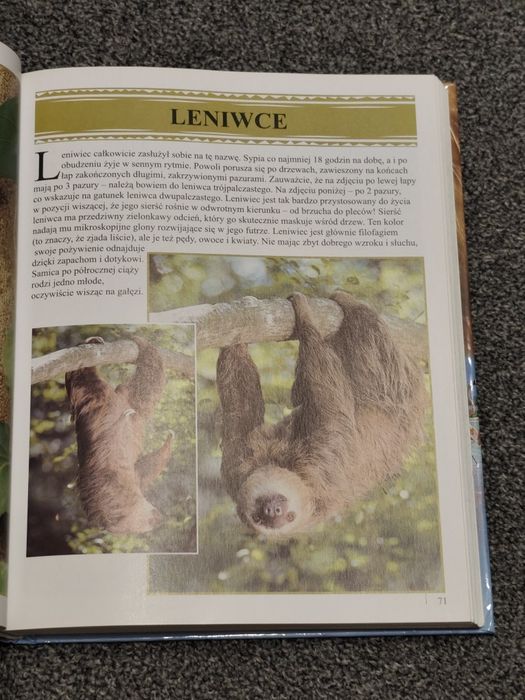 Encyclopedia zwierząt, 650 zdjęć