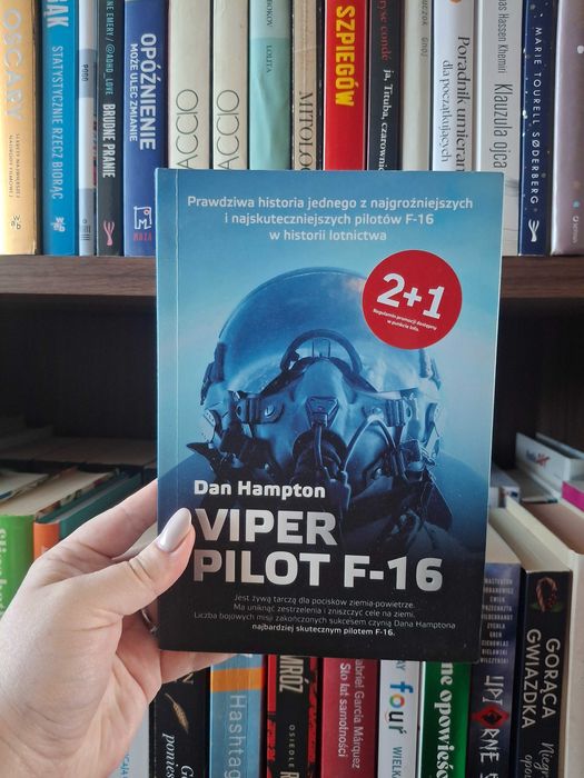 Viper pilot F-16 Dan Hampton