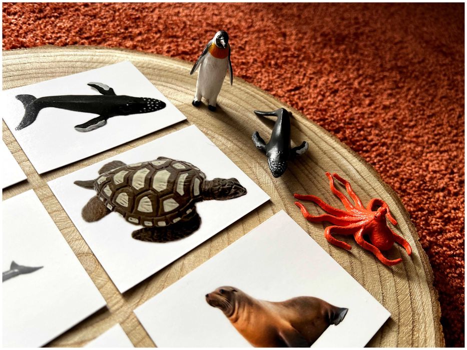 Animais Marinhos - Montessori