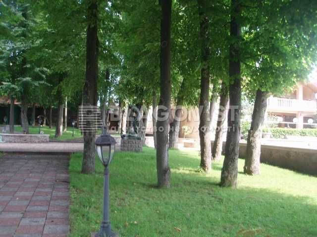 Продаж будинку Великі Дмитровичі, Обухівський район, 1га, без %