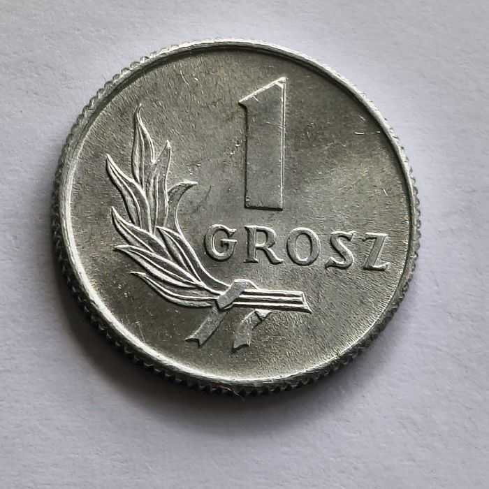 Jak Nowy 1grosz 1949r.bez znaku menniczego