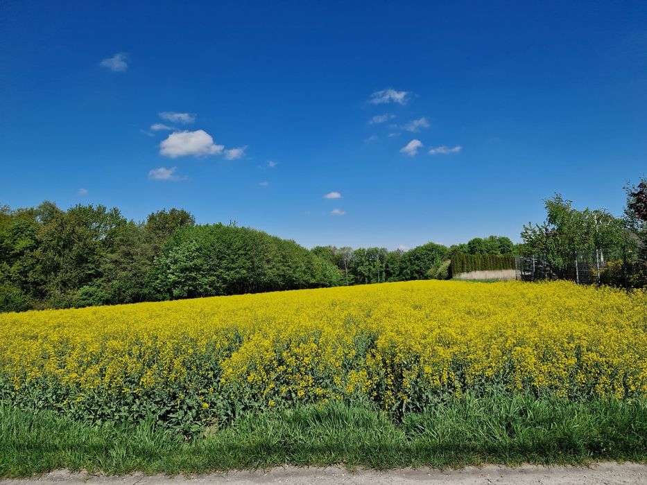 Działka 85 arów, Masłomiąca ul. Spacerowa